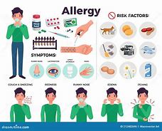 Image result for Environmental Allergies