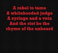 Image result for Rage Against the Machine Calm Like a Bomb