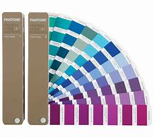 Image result for Pantone 18420 TPG