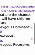 Image result for Homozygous Parents