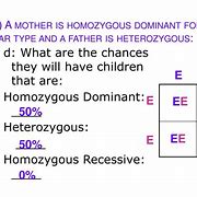 Image result for Heterozygous Dominant Genotype