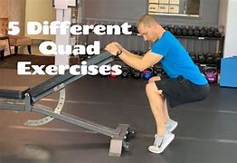 Image result for Quad Exercises Gym