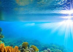 Image result for Underwater Scenery