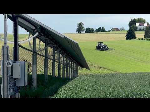 Saving Europe’s farmland: Agri-PV leads the way towards sustainable solar panel use