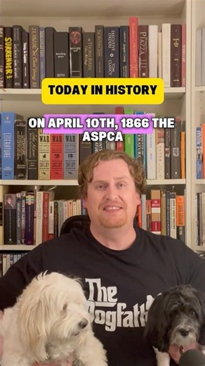 What SHOCKED Henry Bergh Into Starting the ASPCA? 🐎 #TodayInHistory #ThisDayInHistory #History