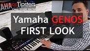 First look at Yamaha GENOS keyboard (Tyros 6) - David gives his thoughts.
