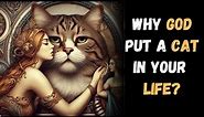 WHY DID GOD PUT A CAT IN YOUR LIFE? || The Spiritual Connection of CATS