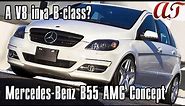 2011 Mercedes-Benz B55 AMG Concept * A&T Design