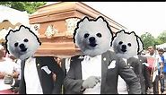 Gabe the Dog - Astronomia (Coffin Dance Meme)