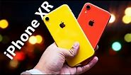 iPhone XR's Camera Has A BIG PROBLEM | NO PORTRAIT ON OBJECTS