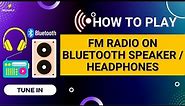 How To Connect & Play FM Radio on Bluetooth Speaker / Headphones