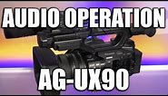 Panasonic AG-UX90: Audio Operation