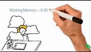 How Does Human Memory Work?