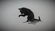 An Animated Cat - Download Free 3D model by Evil_Katz