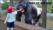 TRY NOT TO LAUGH | Funny Babies At The Zoo - LAUGH TRIGGER