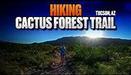 Hiking Cactus Forest Trail in Tucson Arizona