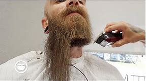 Top 10 Best Beard Transformational Trims