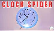 Clock Spider: What Is The The Legend Surrounding This Giant Spider Species?