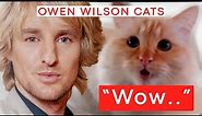 Owen Wilson Cats