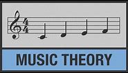 How to READ MUSIC | Notes - Natural Notes - Octaves | Lesson #3