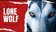 The Truth About Lone Wolf Personality