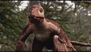 Microraptor: The Flying Dinosaur | Planet Dinosaur | BBC Earth