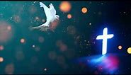 Holy Spirit in a form of Dove Easy Worship Background - Video Loop
