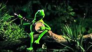 Kermit Sings "The Rainbow Connection" - The Muppets