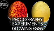 Glowing Egg Photography Ideas | Experimental Photography with Egg and Vinegar