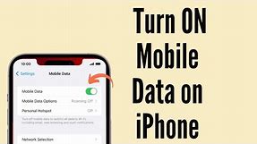 How to Turn ON Mobile/Cellular Data on iPhone