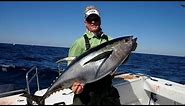 Fishing Monster Yellowfin Tuna Offshore Venice Louisiana