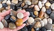 Pebbles for Plants 3 lb Natural Garden Decorative Stone Outdoor Aquariums Gravel 1.2 Inches