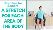Seated Stretches For Seniors | 8 Stretches - Every Area (11 Minutes)