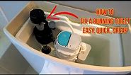 How to Fix a Toilet That Keeps Running GUARANTEED | Cheap and Easy DIY Repair