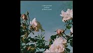 (FREE FOR PROFIT) "pink roses" - ukulele powfu lofi type beat