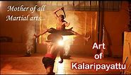 Art of Kalaripayattu -Mother of all Martial arts