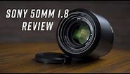 Sony 50mm f/1.8 OSS lens + Sony a6400 review with sample pictures & video