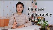 Chinese Calligraphy Tutorial｜The Eight Basic Chinese Strokes