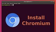 Install Chromium Browser in Ubuntu Linux [Deb and Snap]