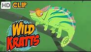 Wild Kratts - Chameleons Rule!