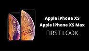 iPhone XS: Apple iPhone XS First Look | iPhone XS Price in India, Specs, Features
