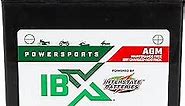 Interstate Batteries YTX14AHL-BS 12V 12Ah Powersports Battery 210CCA AGM Rechargeable Replacement Battery for Motorcycles, Snowmobiles, Jet Skis, Scooters, ATVs (XTX14AHL-BS)