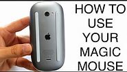 How To Use Your Magic Mouse! (Complete Beginners Guide)