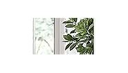 Giftgarden 14”x47” White Full Length Mirror Aluminum Frame, 47” Long Full-Mirror Tall Dressing Mirror, Wall Mounted or Hanging Over Door for Bedroom Bathroom Closet