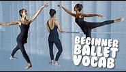 Learn Basic Ballet Vocab with Demonstration for Beginners I @ti-and-me