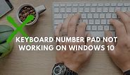 Keyboard Number Pad Not Working on Windows 11/10