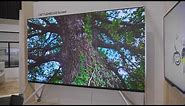 LG 130 Inch Full HD LED Commercial Display
