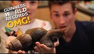 Biggest Snail in the WORLD // On The Road