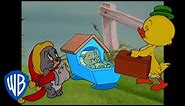 Tom & Jerry | Cutest Characters in Tom and Jerry | Classic Cartoon Compilation | @wbkids​