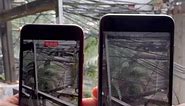 iPhone 8 vs iPhone 6 Plus Camera Result